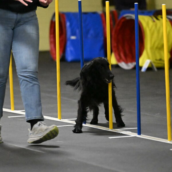 Angel-Everhart-14797