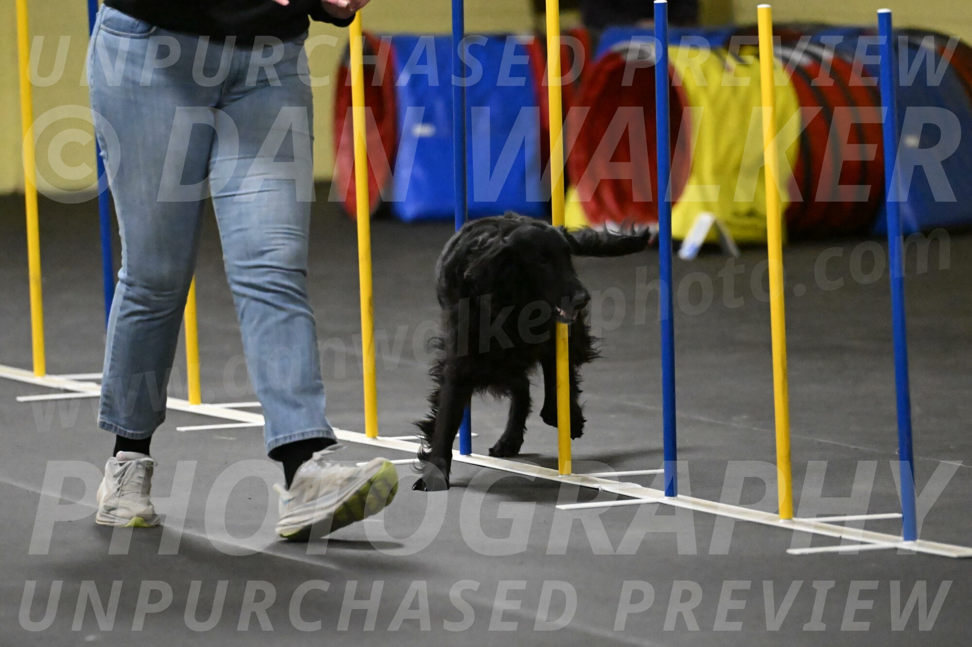 Angel-Everhart-14798