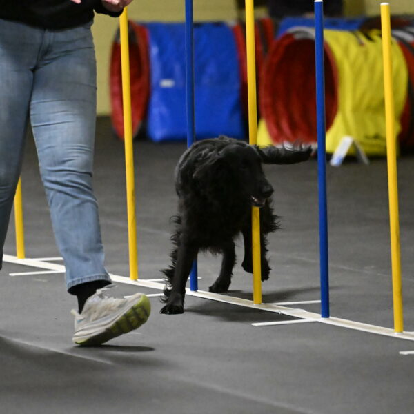 Angel-Everhart-14798