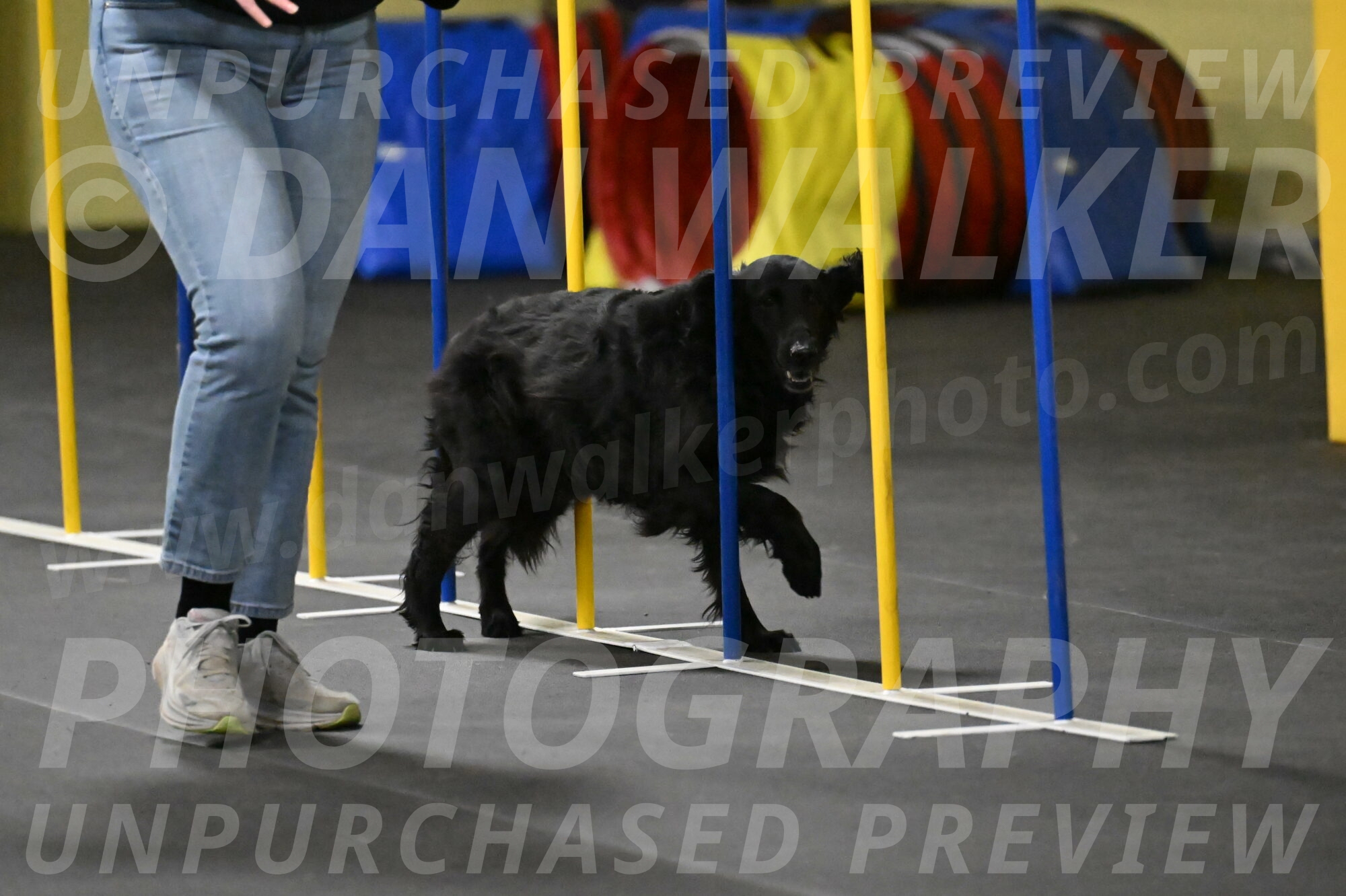 Angel-Everhart-14801