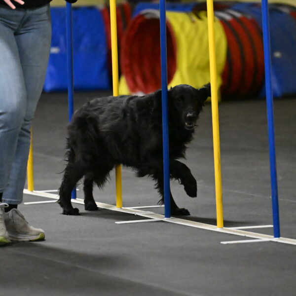 Angel-Everhart-14801