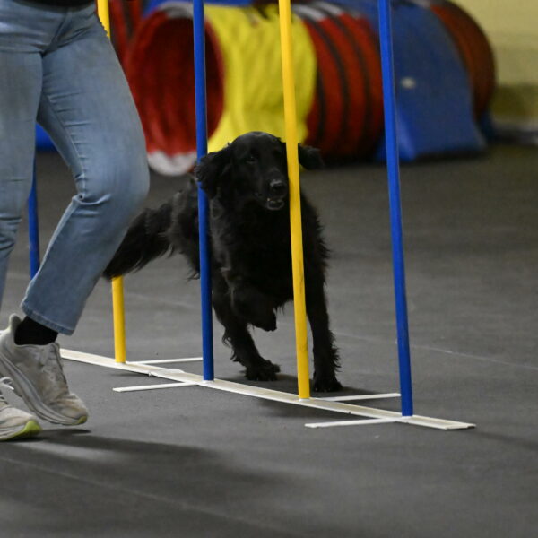 Angel-Everhart-14806