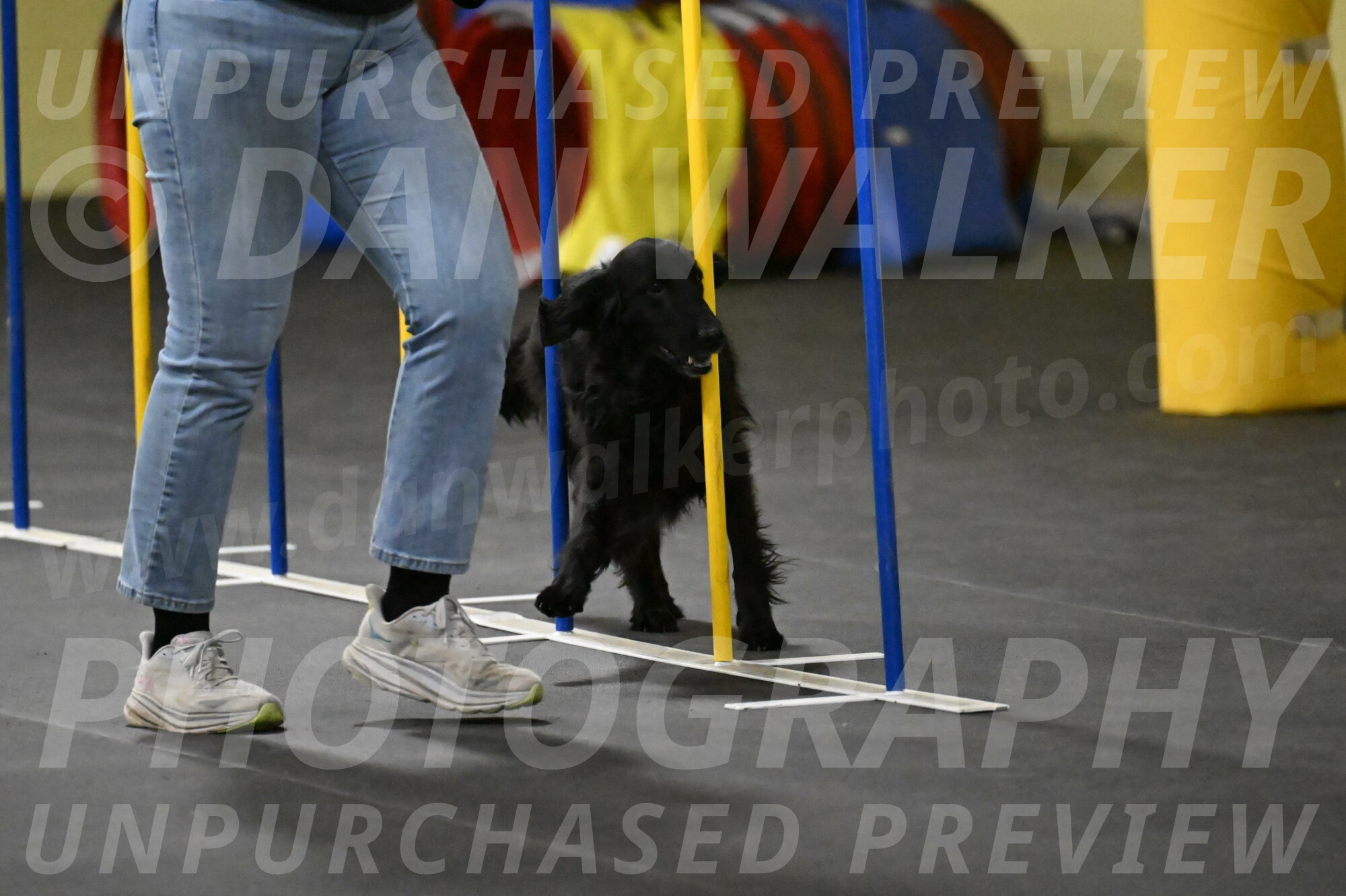 Angel-Everhart-14807