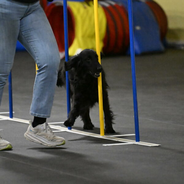 Angel-Everhart-14807