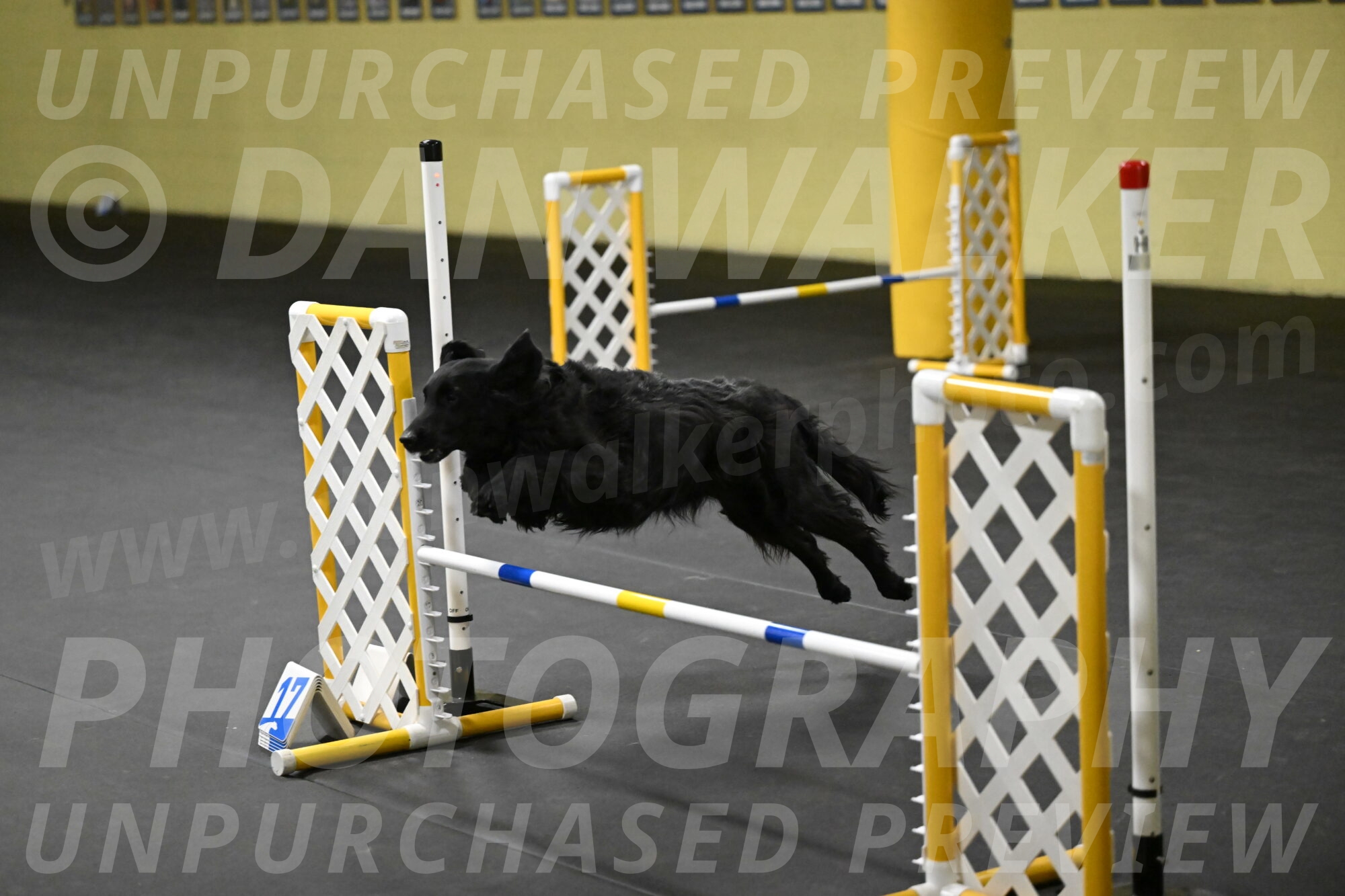 Angel-Everhart-14814