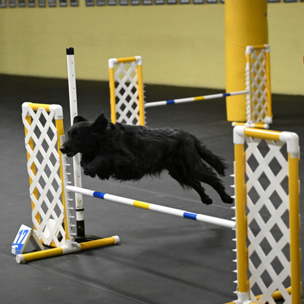 Angel-Everhart-14814