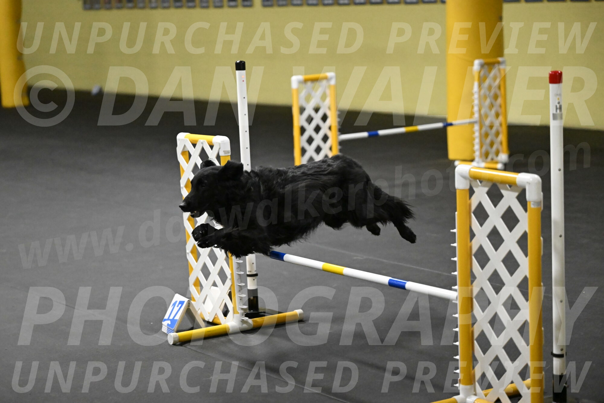 Angel-Everhart-14815