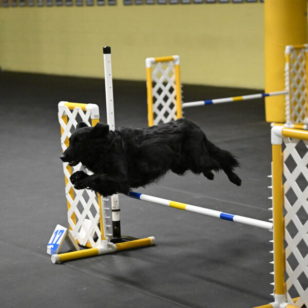 Angel-Everhart-14815