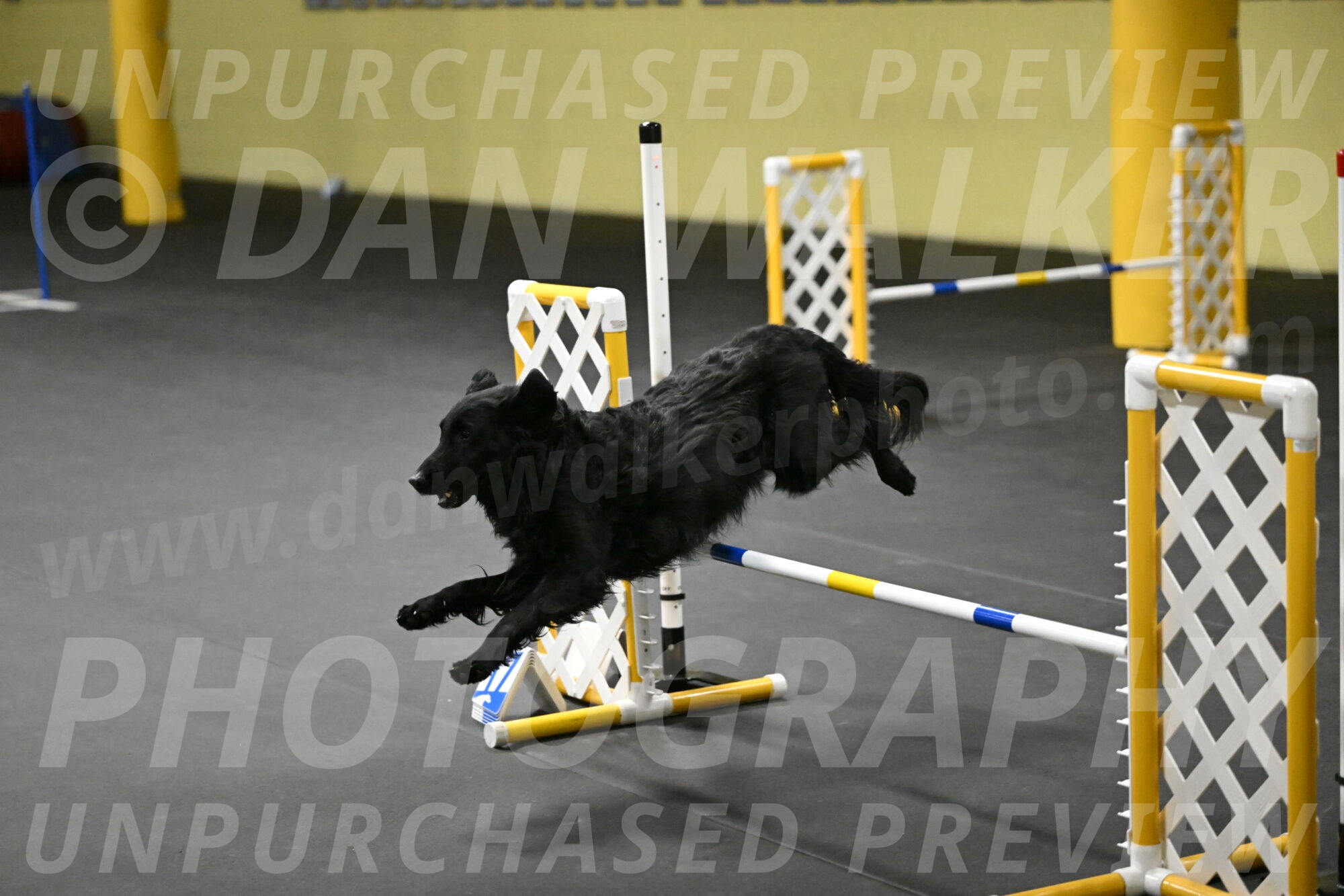 Angel-Everhart-14816