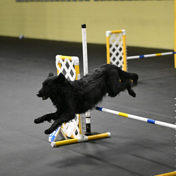 Angel-Everhart-14816