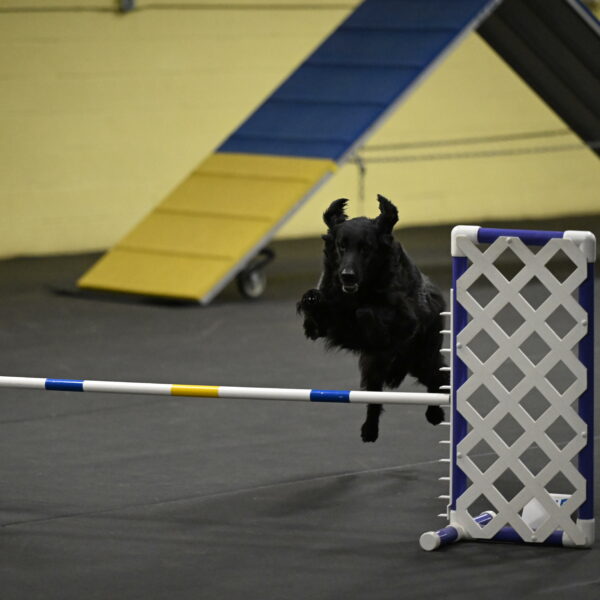 Angel-Everhart-14822