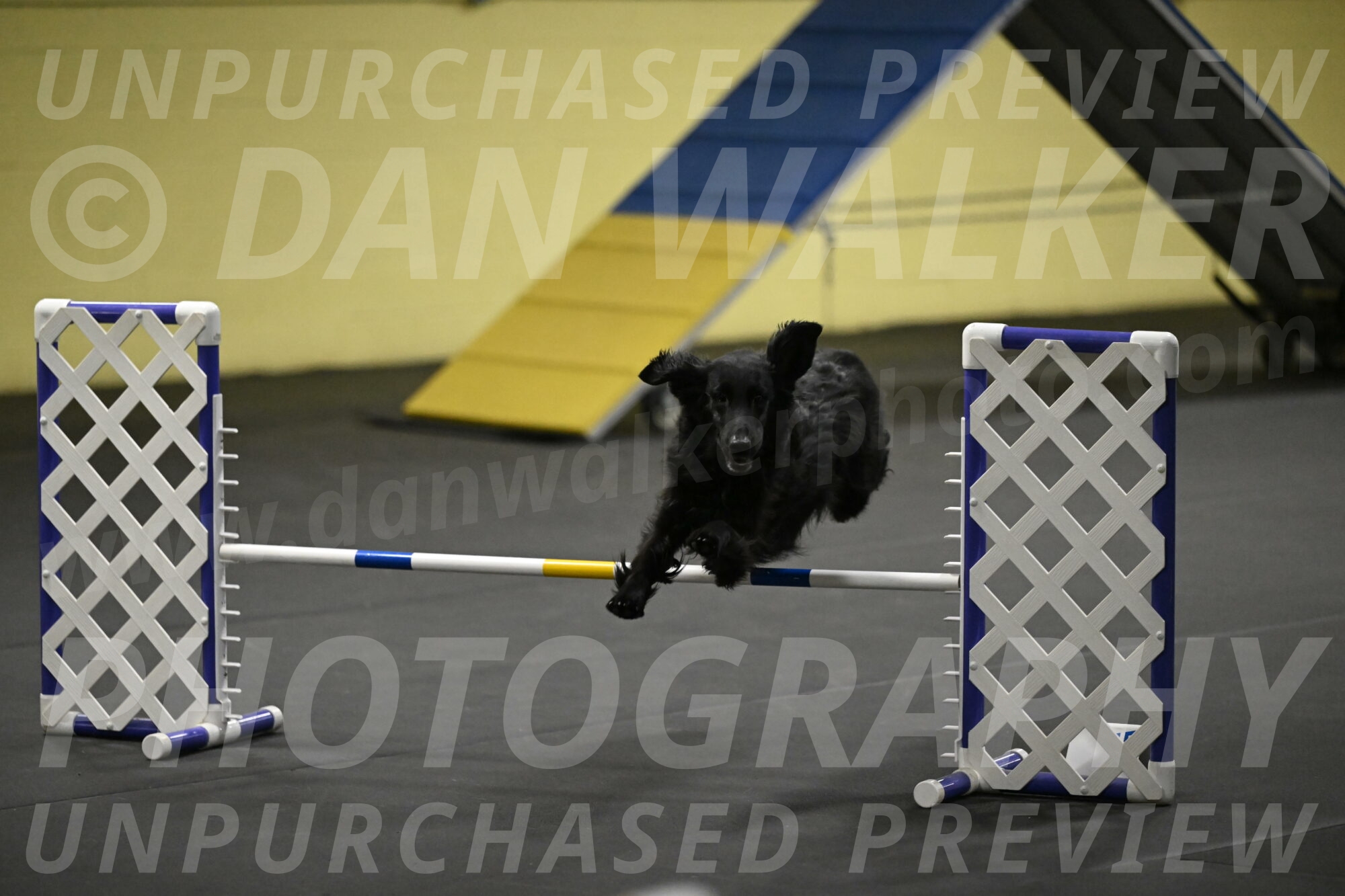 Angel-Everhart-14824