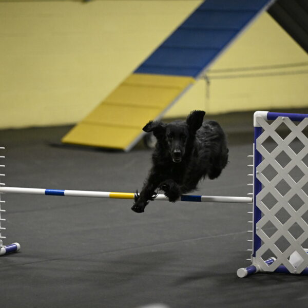 Angel-Everhart-14824