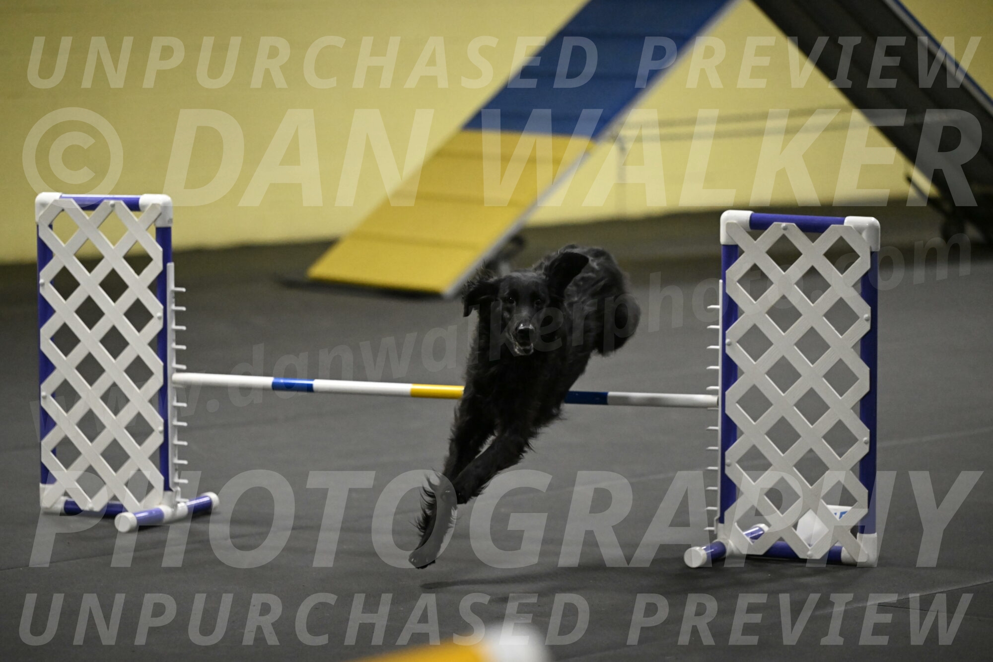 Angel-Everhart-14825