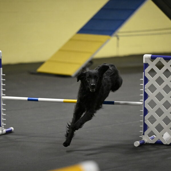 Angel-Everhart-14825