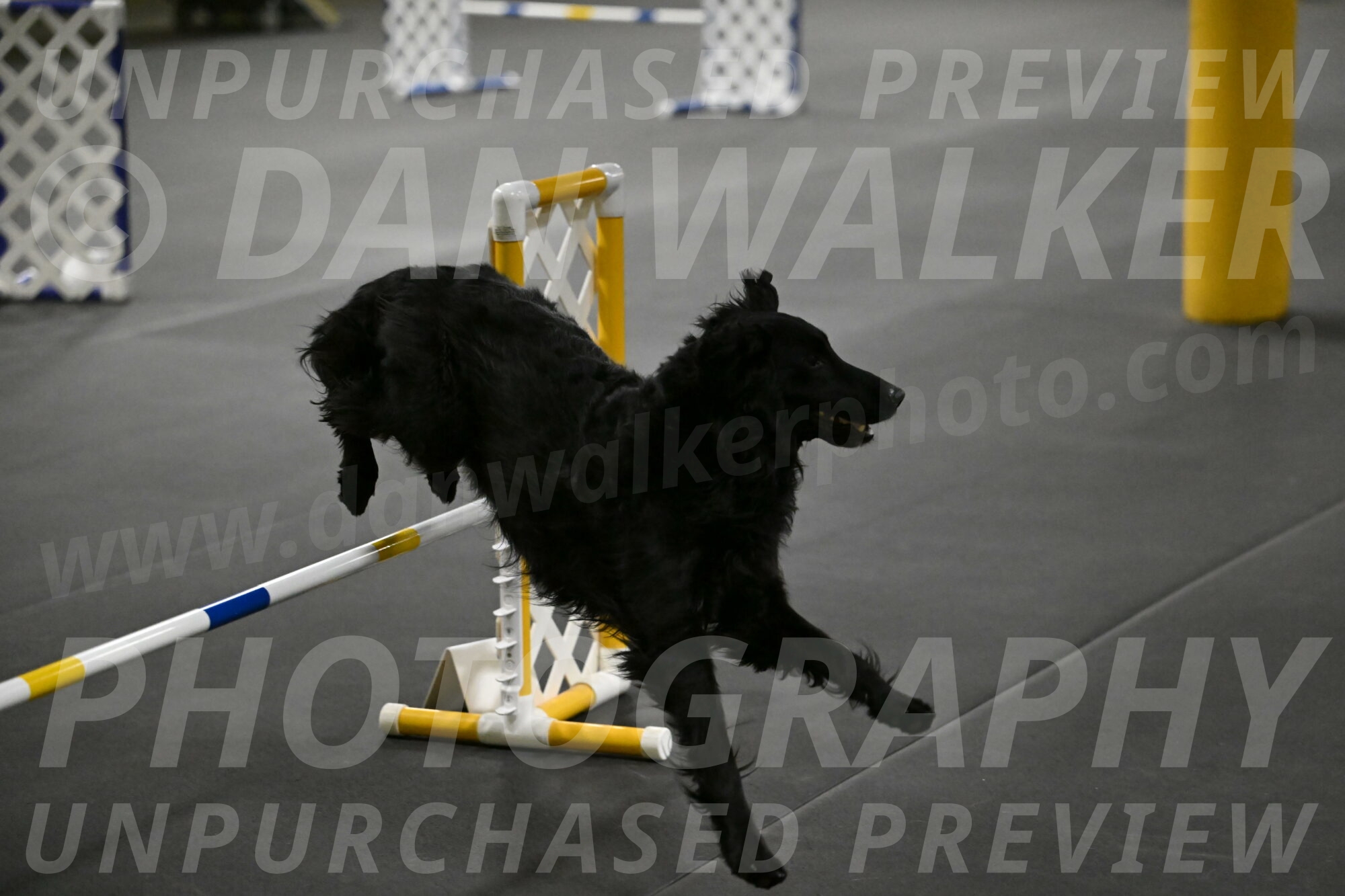 Angel-Everhart-14838