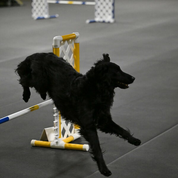 Angel-Everhart-14838