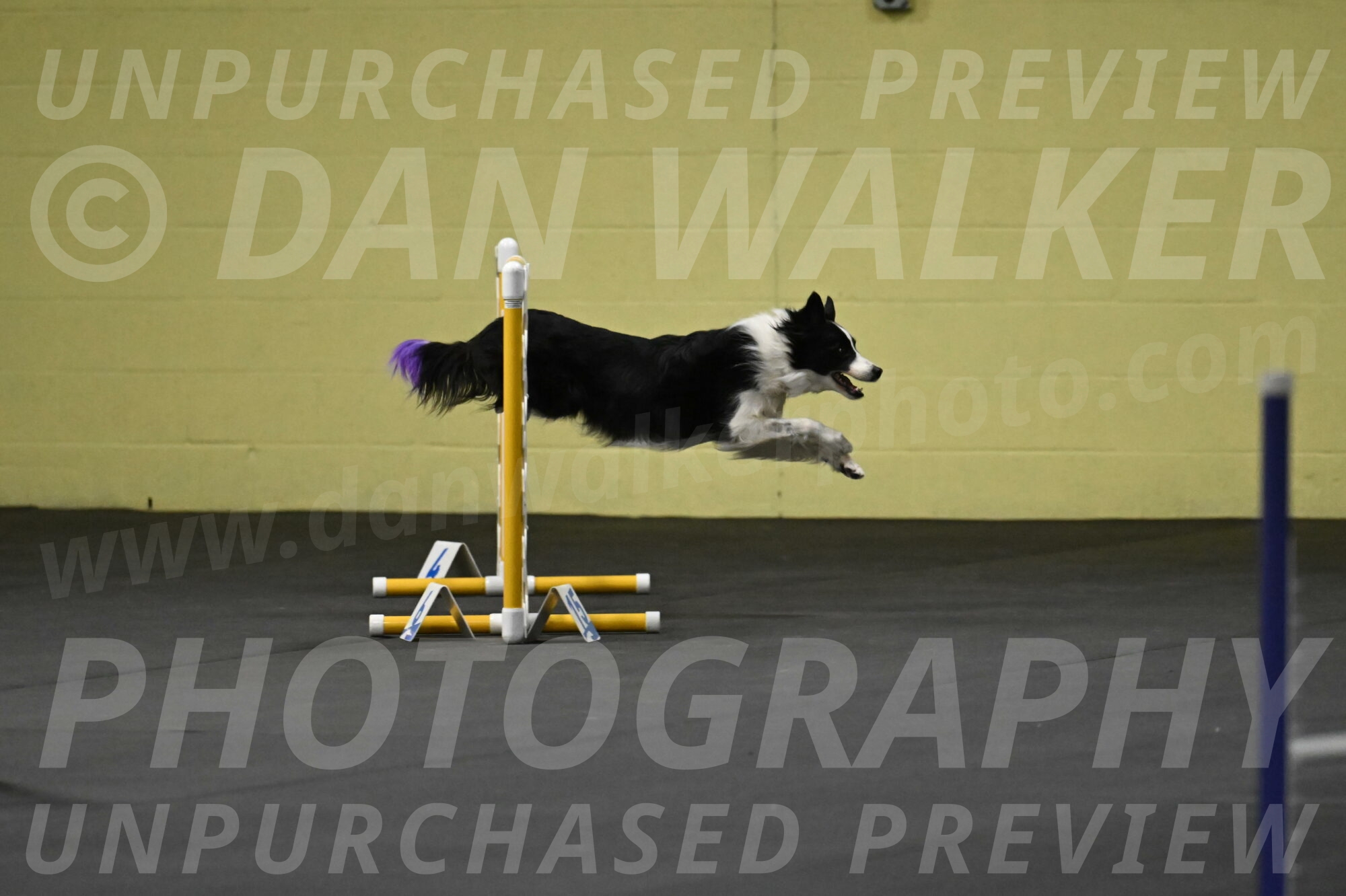 Annie-Solinger-02720