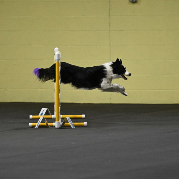 Annie-Solinger-02720