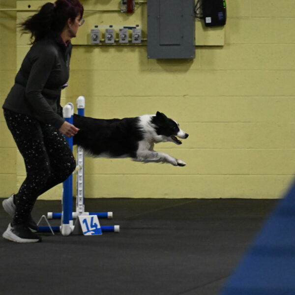 Annie-Solinger-02723