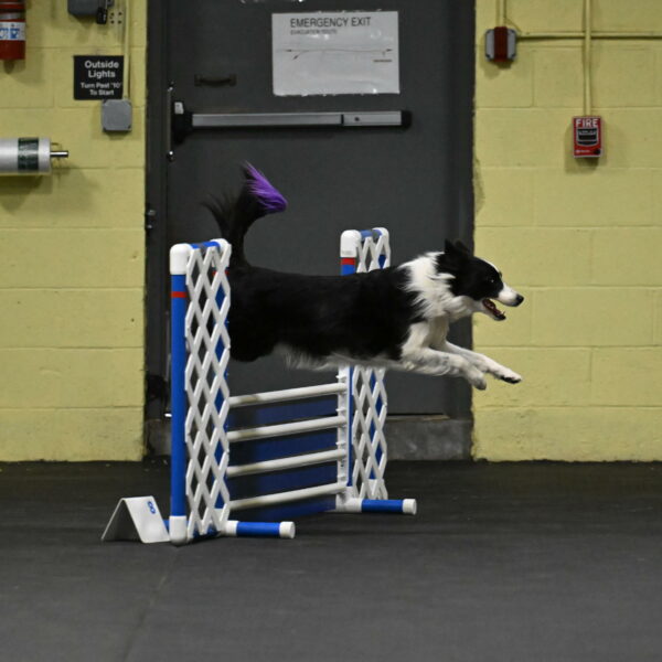 Annie-Solinger-02728