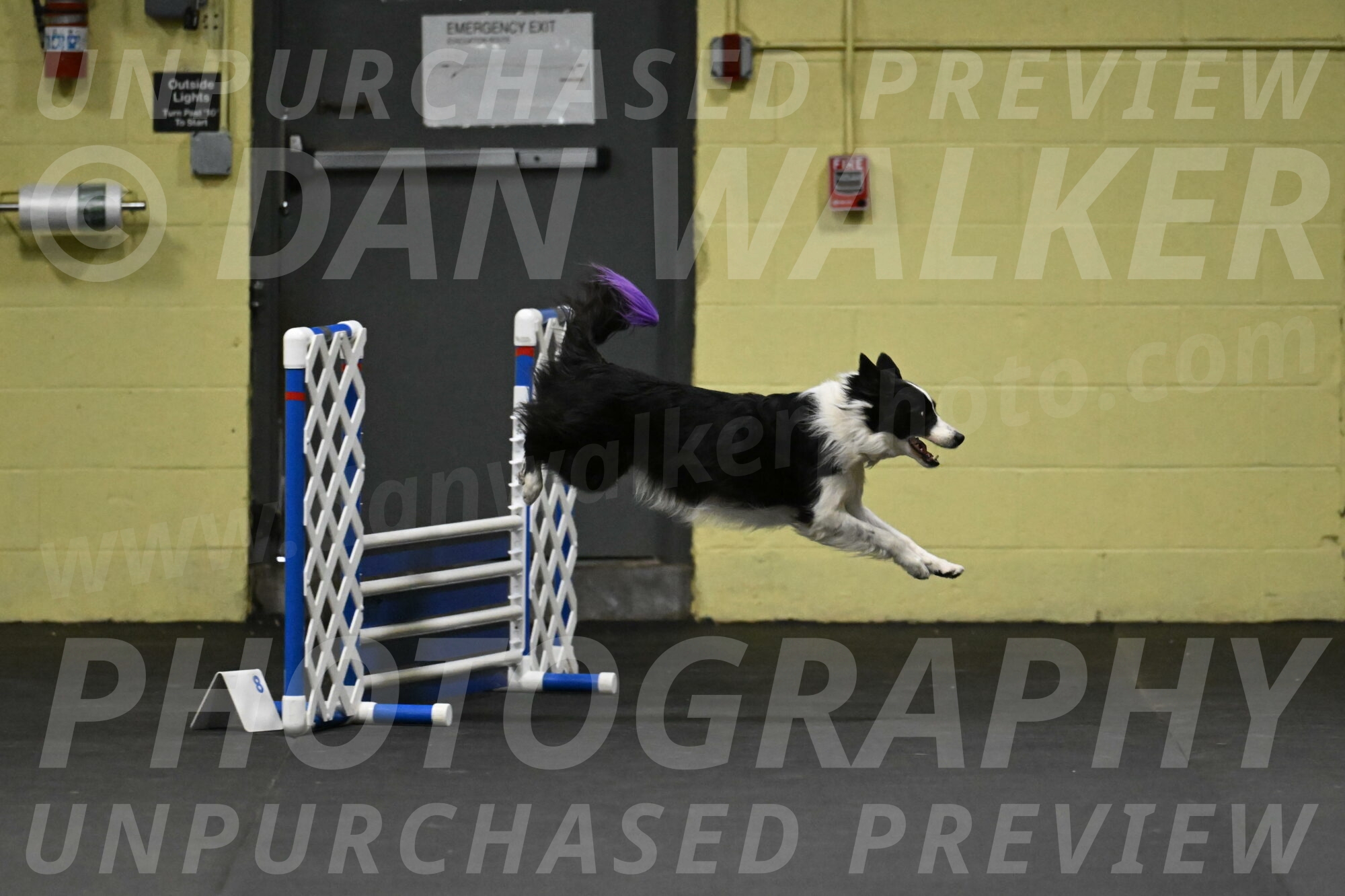 Annie-Solinger-02729