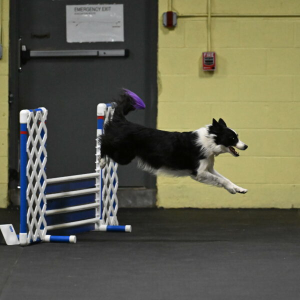 Annie-Solinger-02729