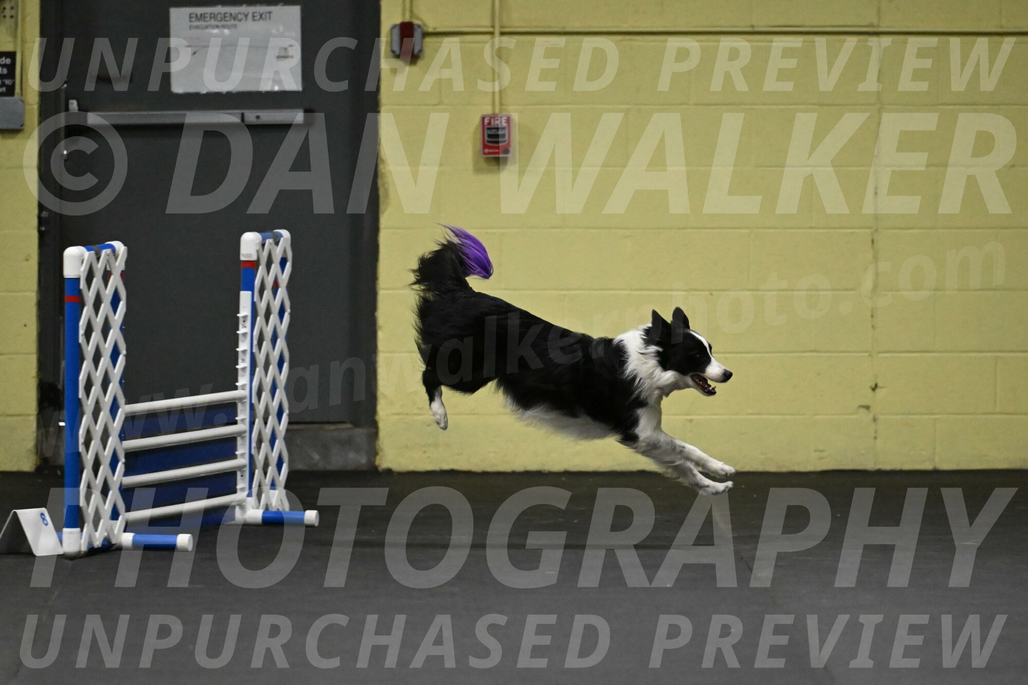 Annie-Solinger-02730