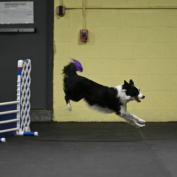 Annie-Solinger-02730