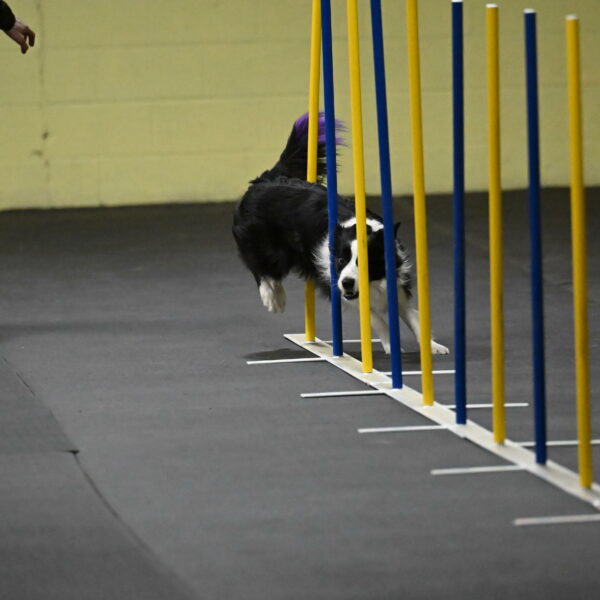 Annie-Solinger-02733