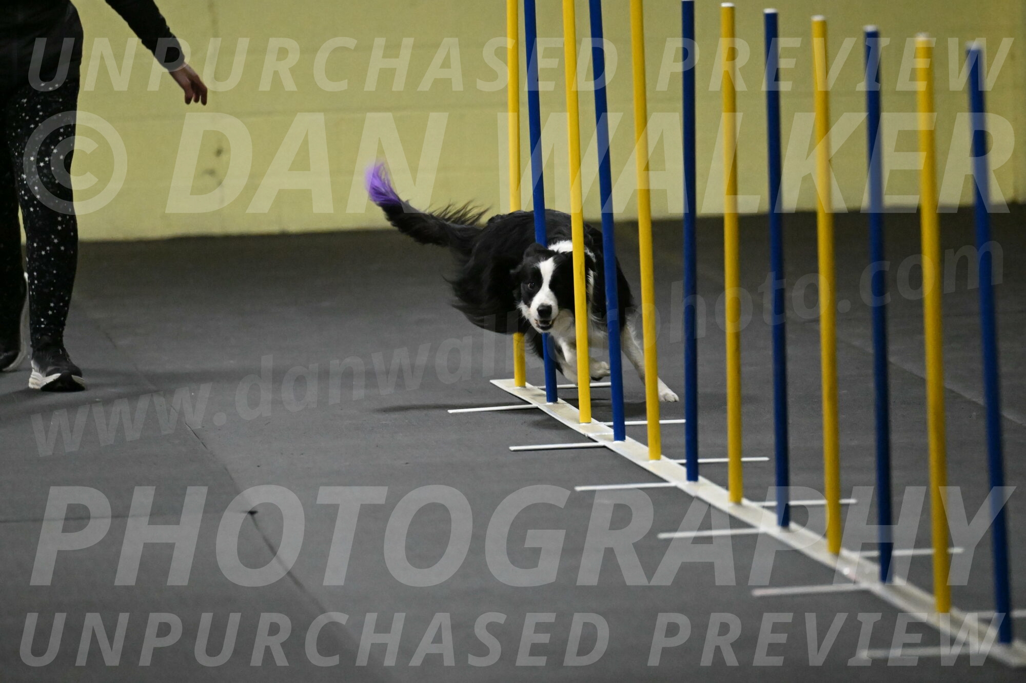 Annie-Solinger-02734