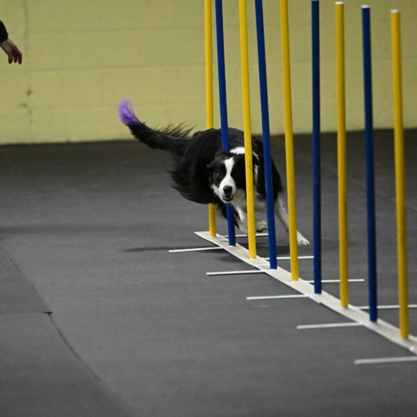 Annie-Solinger-02734