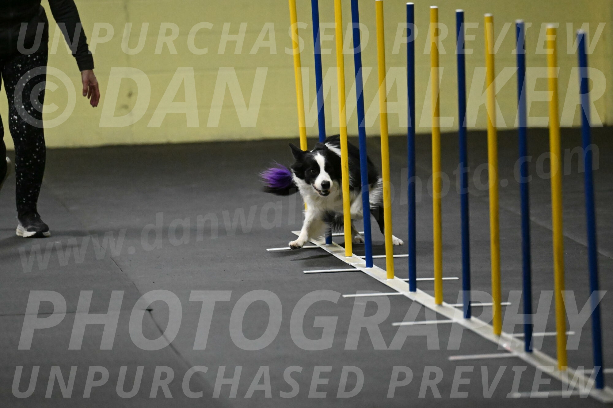 Annie-Solinger-02735