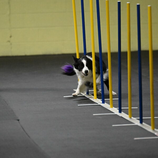 Annie-Solinger-02735