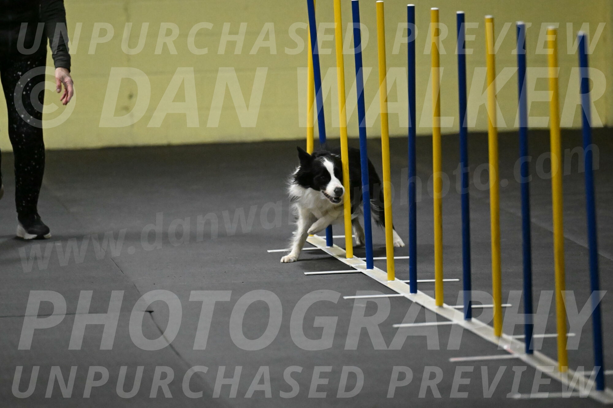 Annie-Solinger-02736