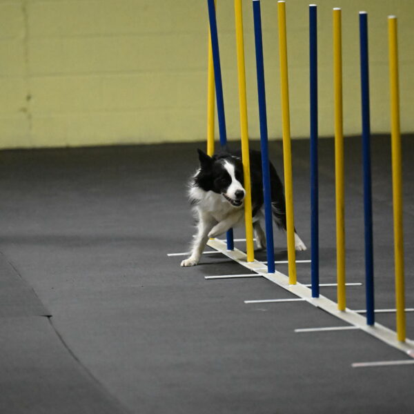 Annie-Solinger-02736