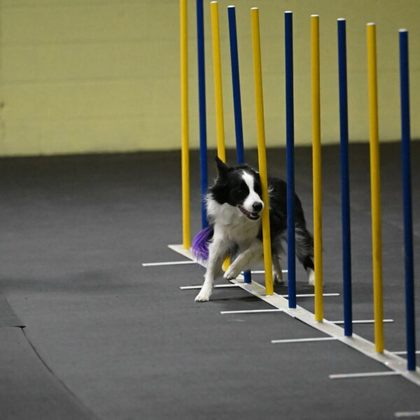 Annie-Solinger-02742