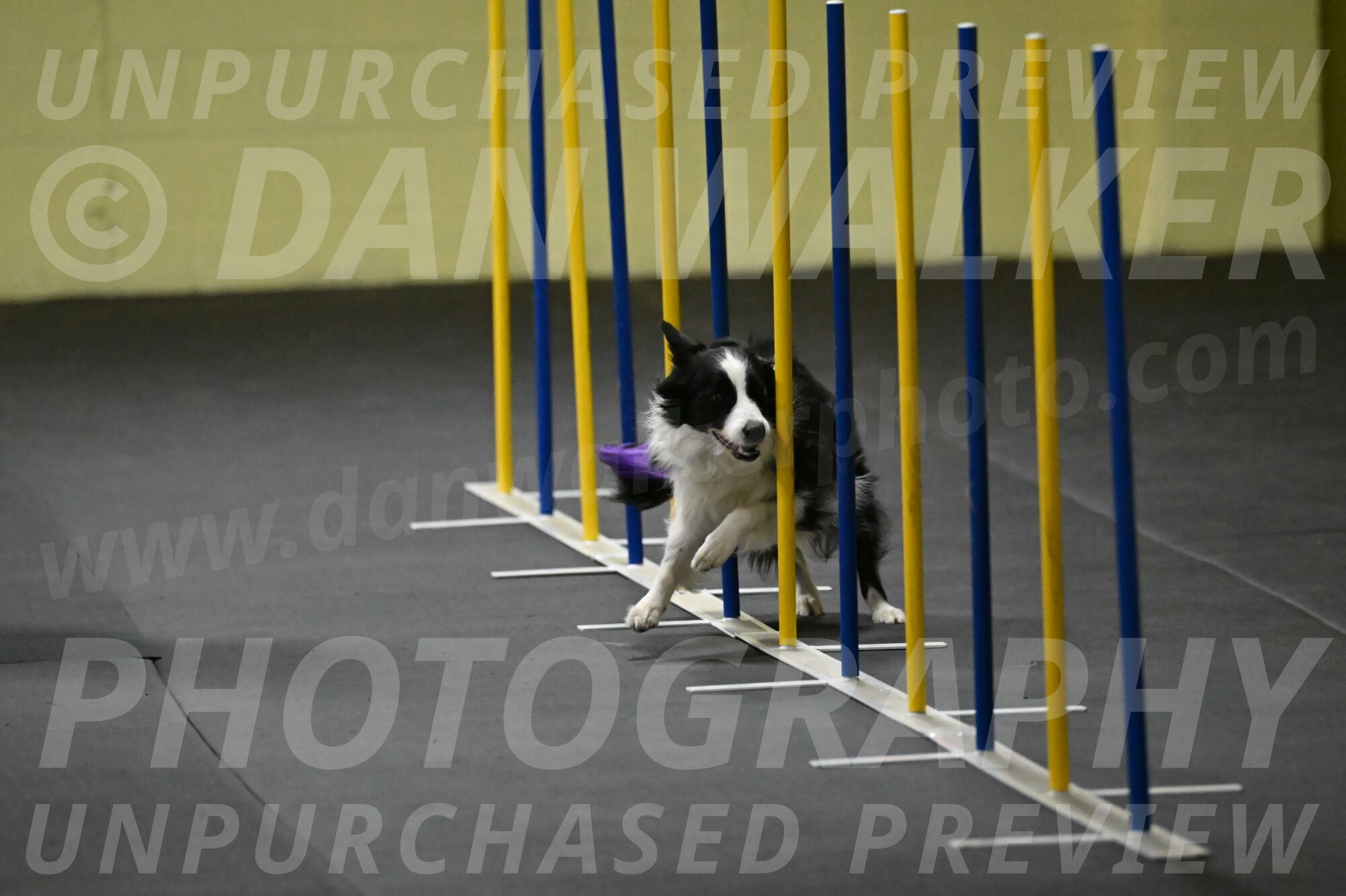 Annie-Solinger-02748