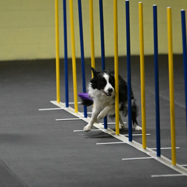 Annie-Solinger-02748