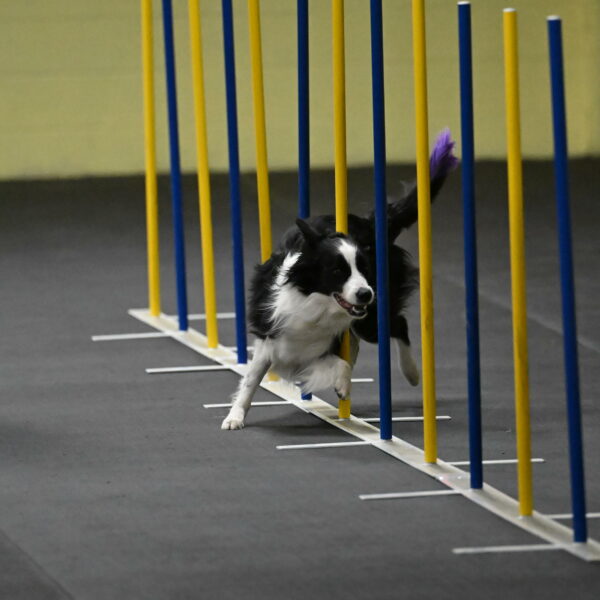 Annie-Solinger-02749