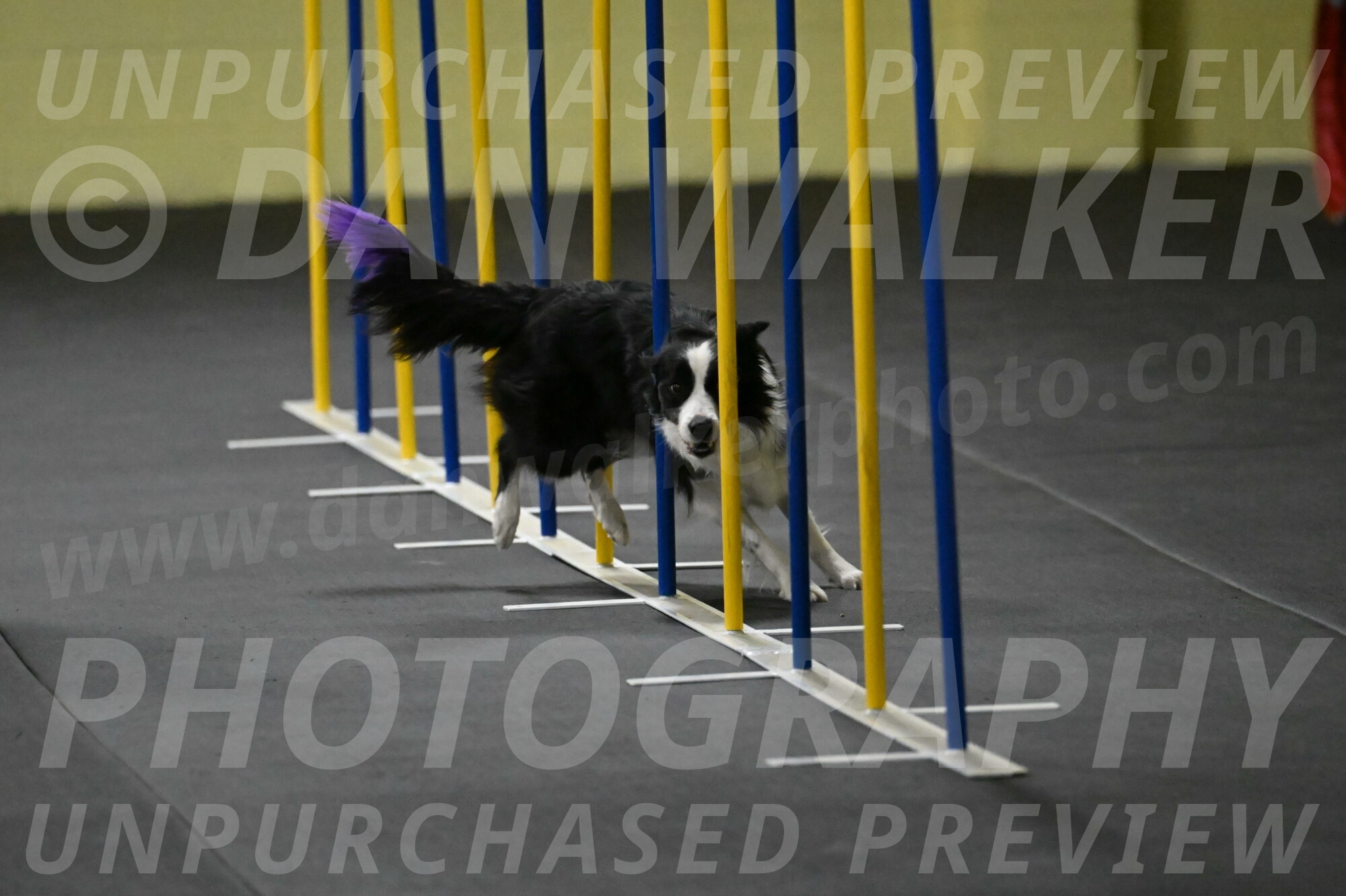 Annie-Solinger-02752