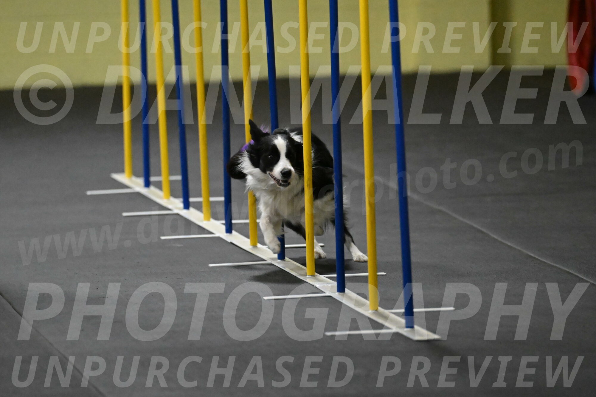 Annie-Solinger-02753