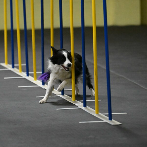 Annie-Solinger-02754