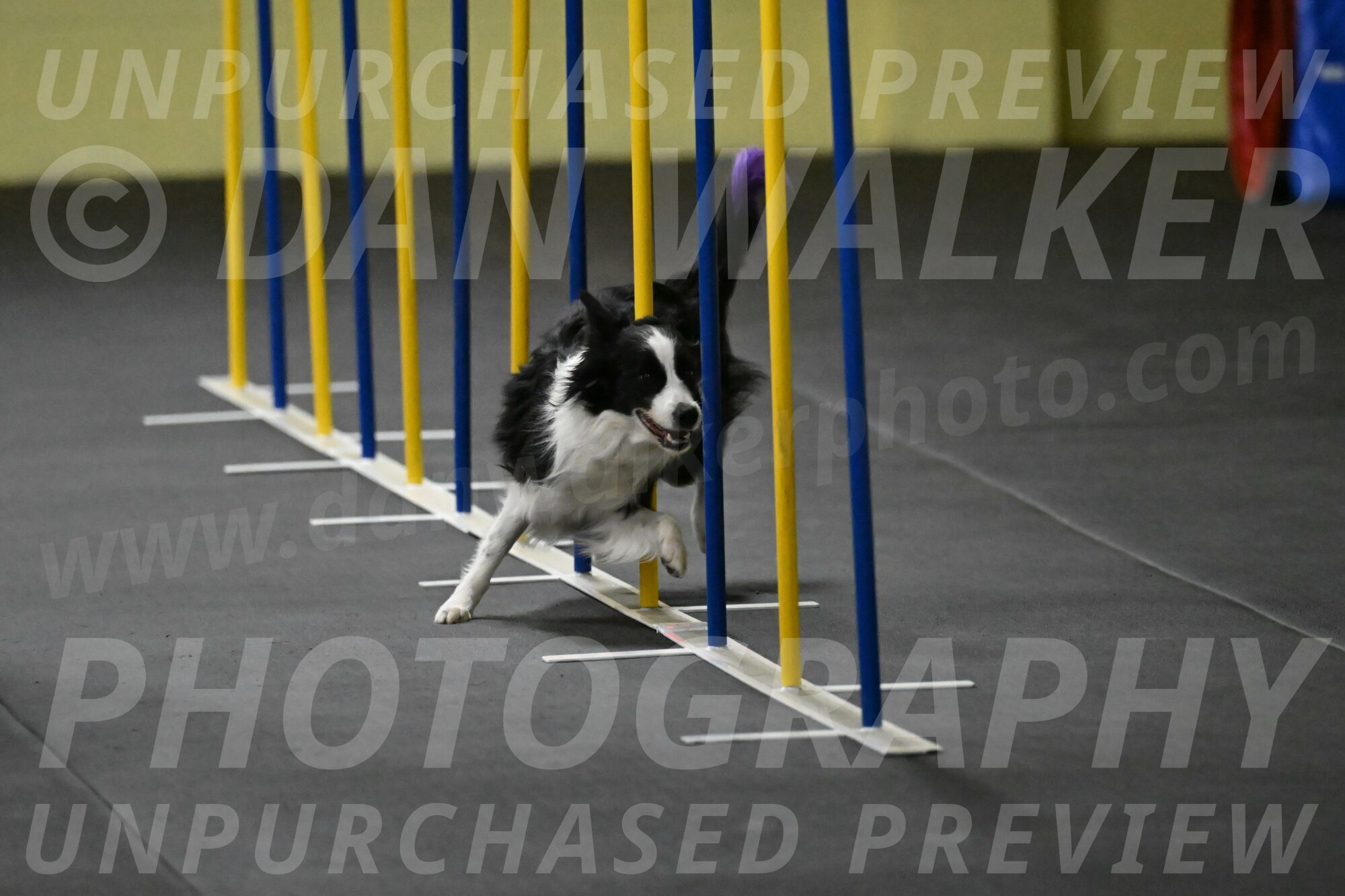 Annie-Solinger-02755