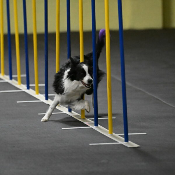 Annie-Solinger-02755