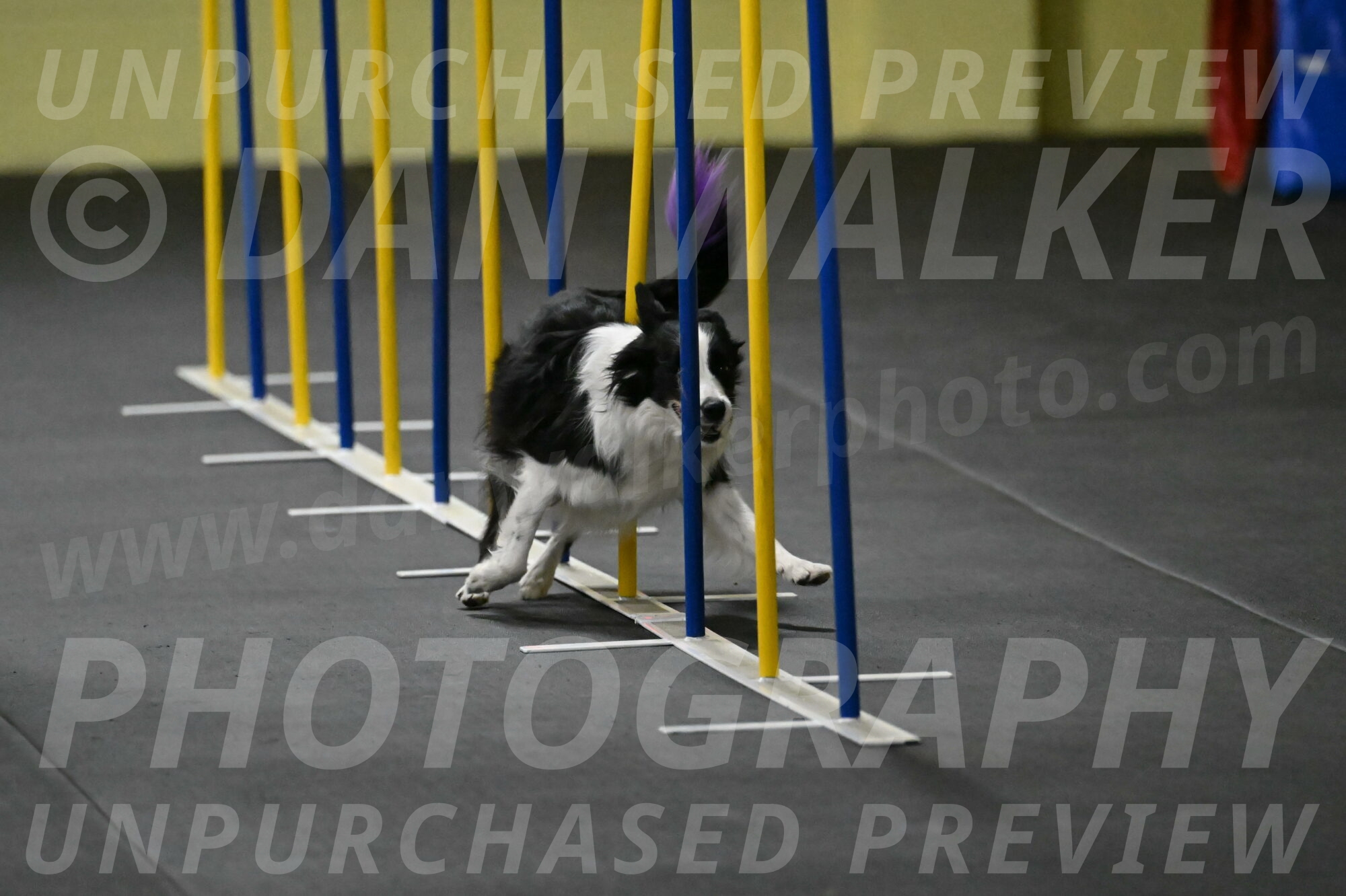 Annie-Solinger-02756