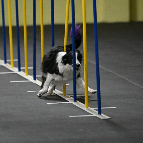 Annie-Solinger-02756