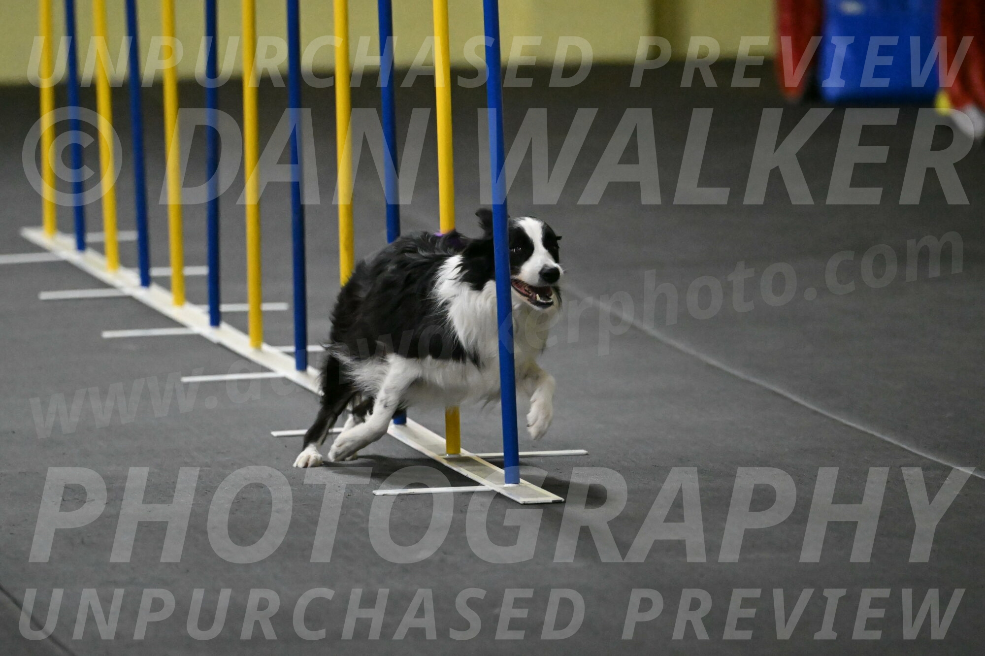 Annie-Solinger-02762