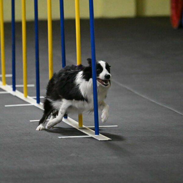 Annie-Solinger-02762