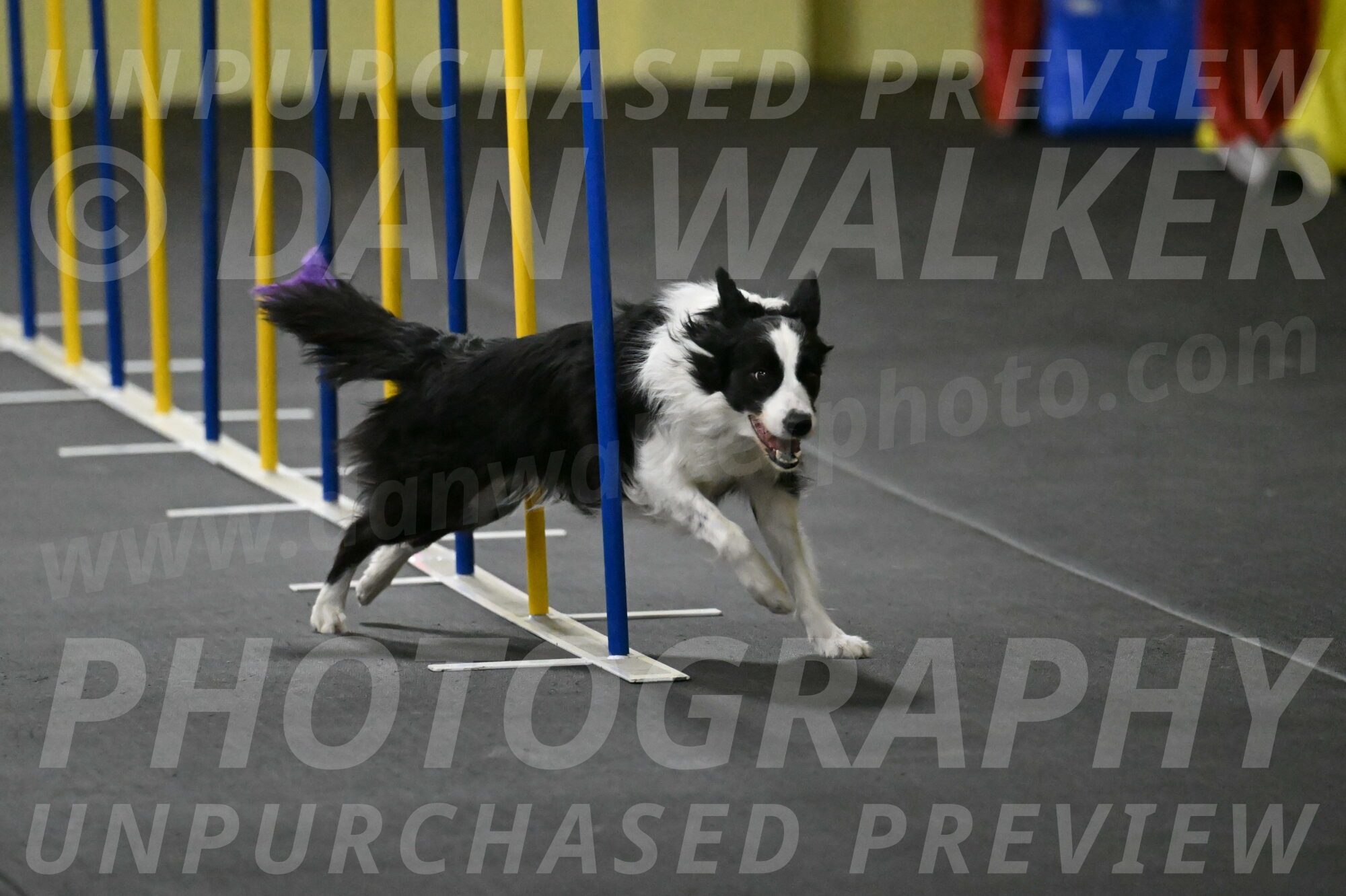 Annie-Solinger-02763